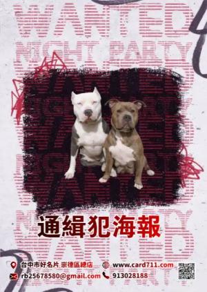 通緝犯海報 - 線上海報製作範本