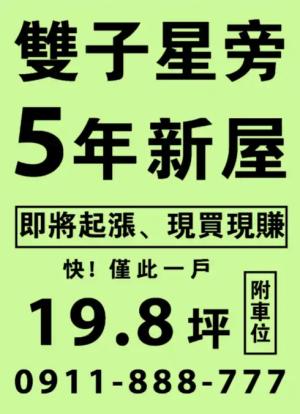 雙子粉綠色海報 - 線上單色海報製作範本