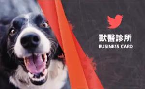 獸醫診所彩色貼紙 - 專業線上獸醫診所彩色貼紙印刷範本