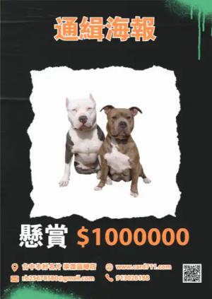 通緝海報 - 線上海報製作範本