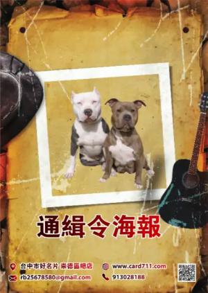 通緝令海報 - 線上海報製作範本