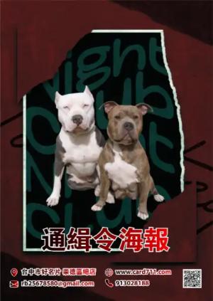 通緝海報 - 線上海報製作範本